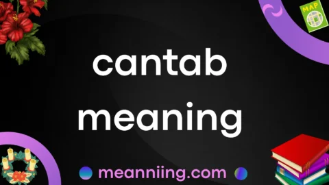 cantab meaning