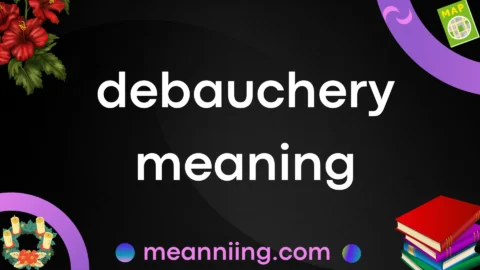 debauchery meaning