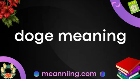 doge meaning
