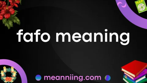 fafo meaning
