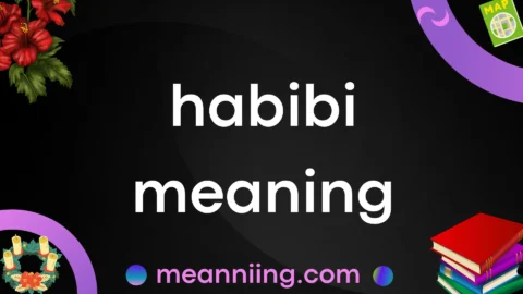 habibi meaning