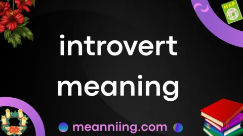 introvert meaning
