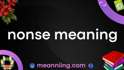nonse meaning