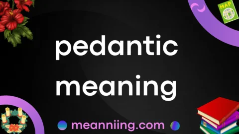 pedantic meaning
