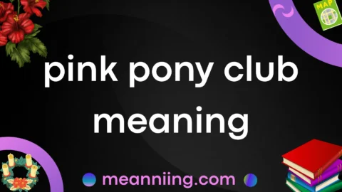 pink pony club meaning