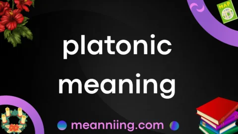platonic meaning