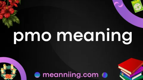 pmo meaning