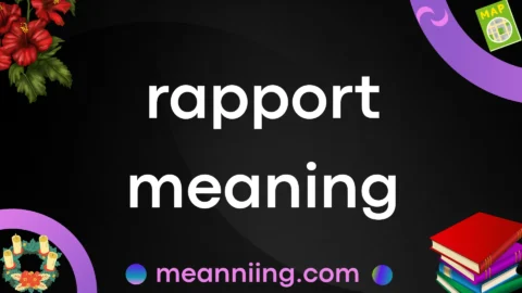 rapport meaning