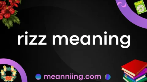 rizz meaning