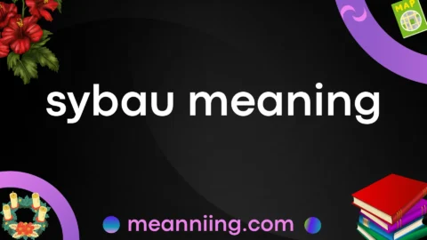 sybau meaning