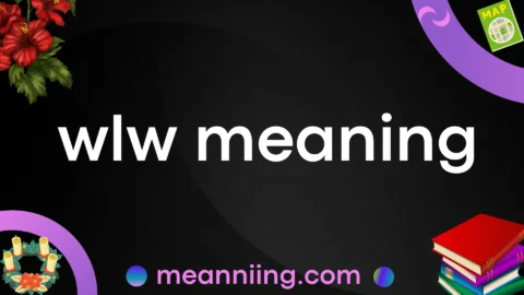 wlw meaning