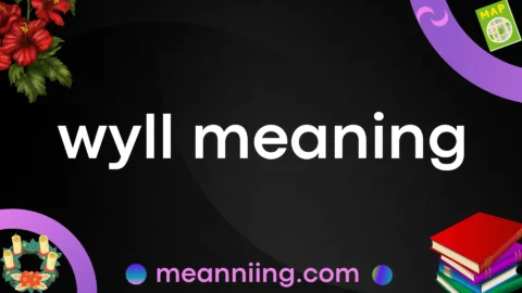 wyll meaning