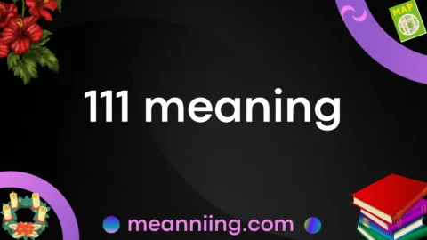 111 meaning