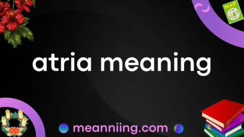 atria meaning