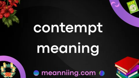 contempt meaning