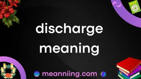 discharge meaning