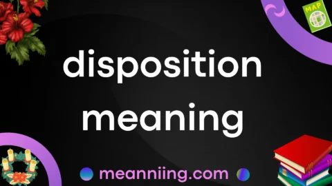 disposition meaning