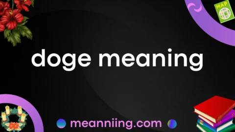 doge meaning
