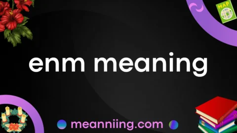 enm meaning