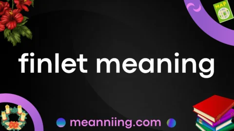 finlet meaning