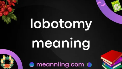 lobotomy meaning