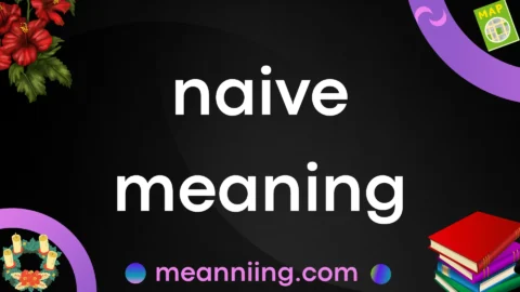 naive meaning