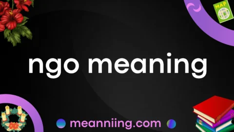 ngo meaning