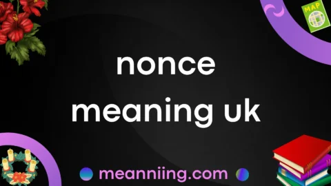 nonce meaning uk