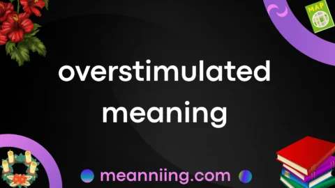 overstimulated meaning