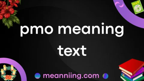 pmo meaning text