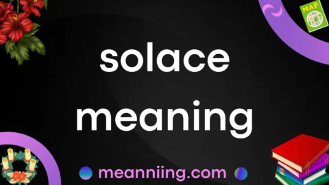 solace meaning