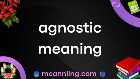 agnostic meaning