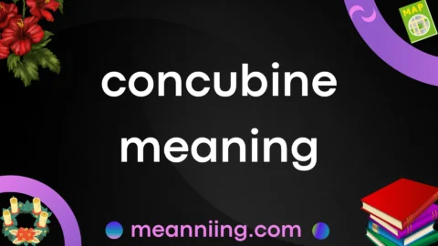 concubine meaning