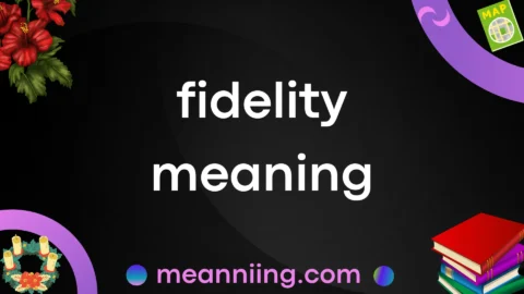 fidelity meaning