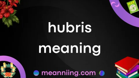 hubris meaning