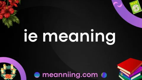 ie meaning