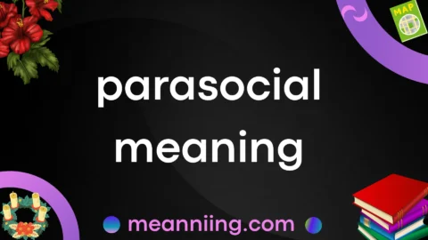 parasocial meaning