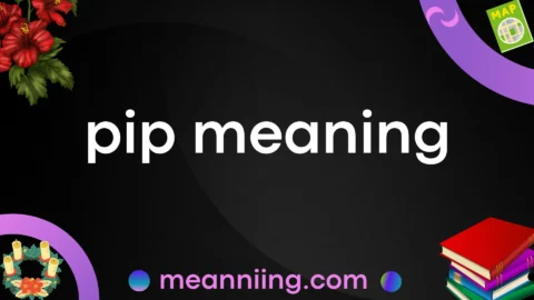 pip meaning