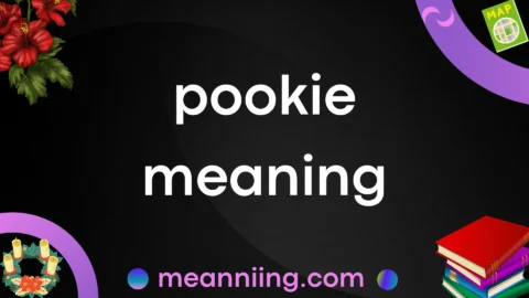 pookie meaning