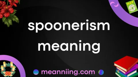 spoonerism meaning