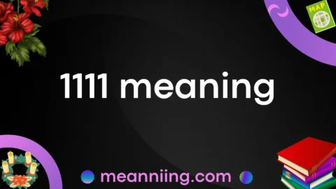 1111 meaning