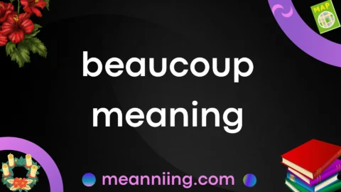 beaucoup meaning
