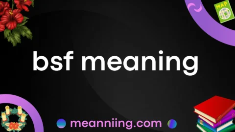 bsf meaning