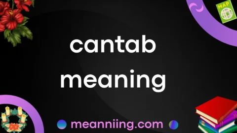 cantab meaning