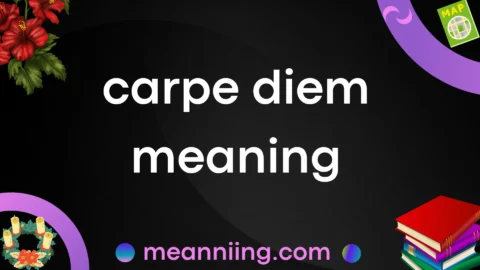 carpe diem meaning