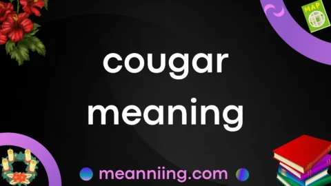 cougar meaning