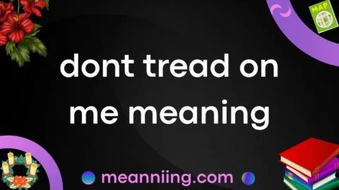 dont tread on me meaning