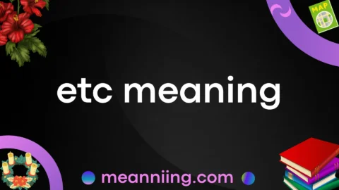 etc meaning
