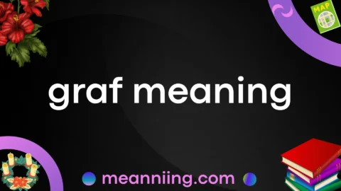 graf meaning