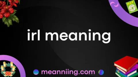 irl meaning